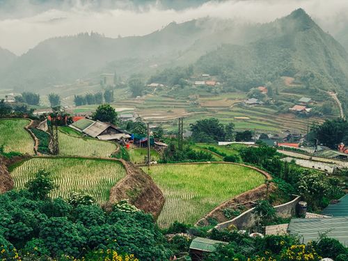 Free Lush green terraced rice fields with misty mountains creating a serene landscape. Stock Photo