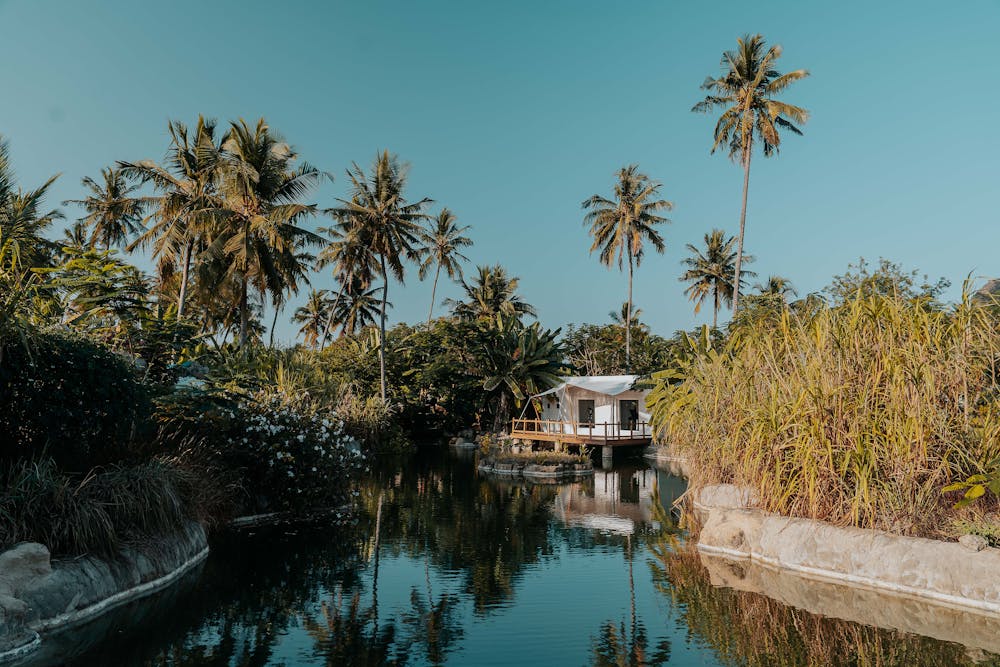 Veggie Lover’s Paradise Veggie Lover’s Paradise