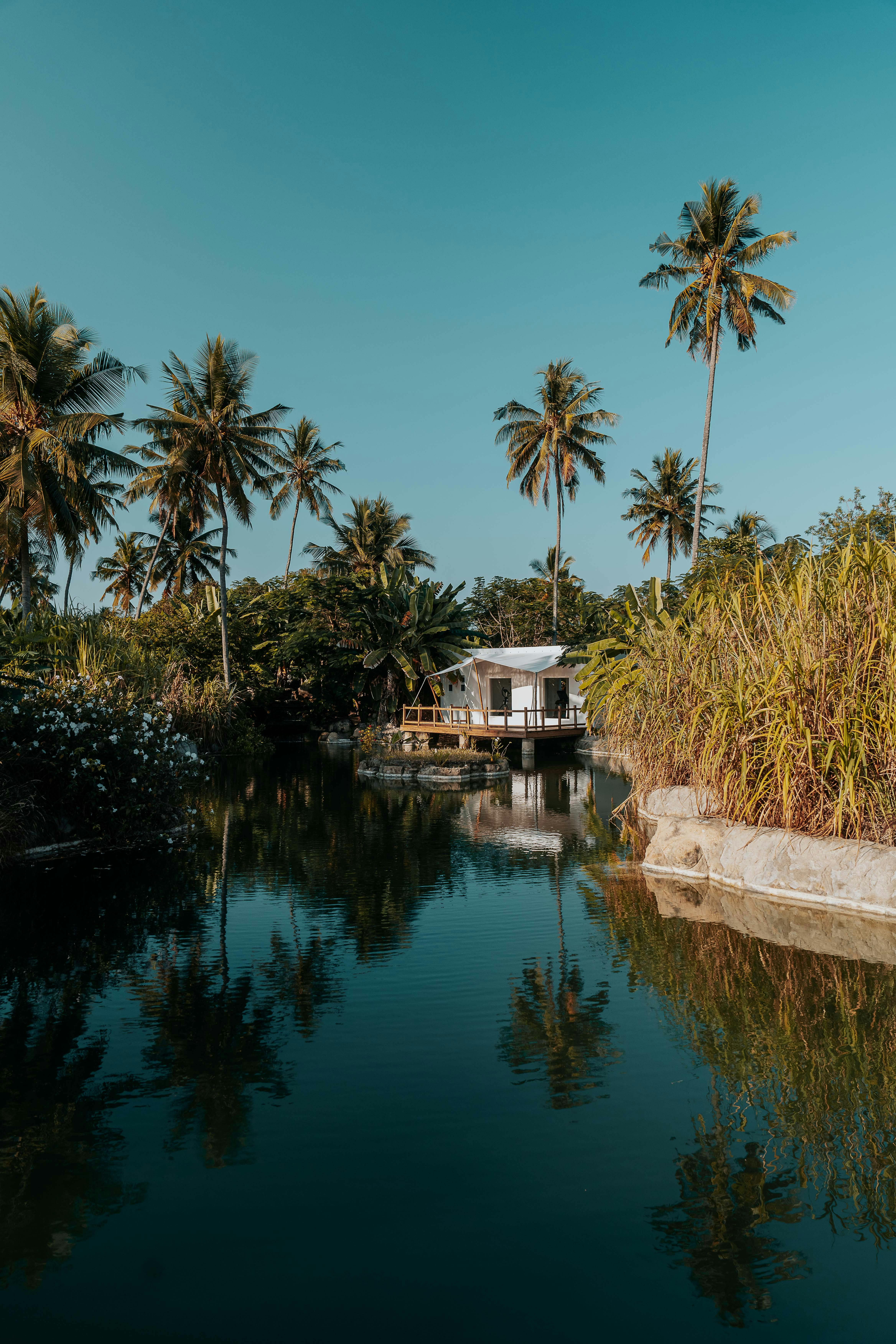 Scenic view of a tranquil tropical lakeside house surrounded by palm trees.