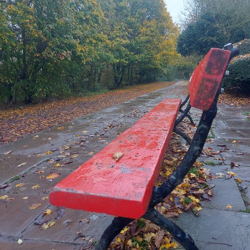 Free Red Bench at Disused Railway Station  Stock Photo