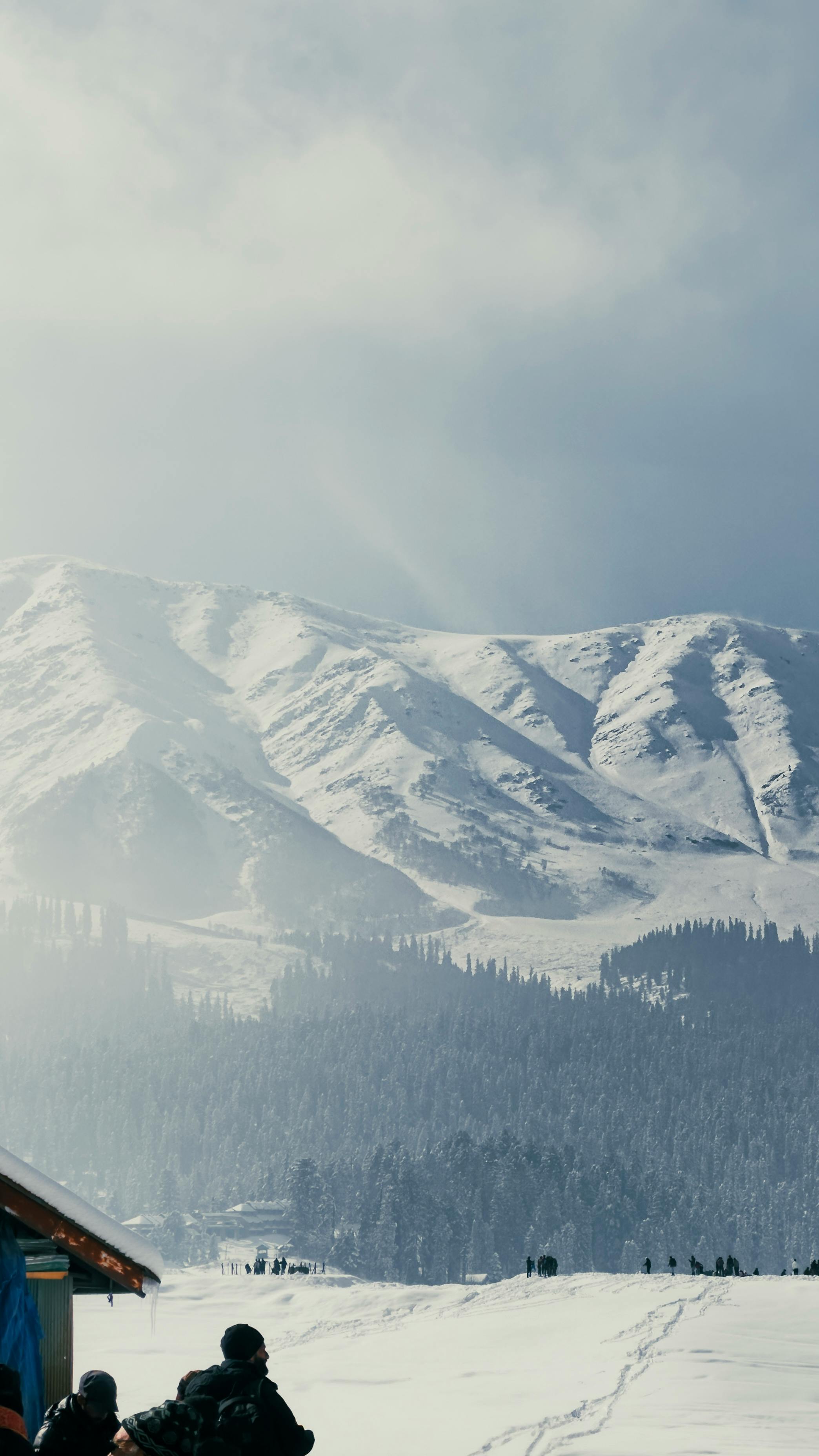 Gratis lagerfoto af 8 timers sne, billeder af snefald af kashmir, jammu og kashmir Lagerfoto