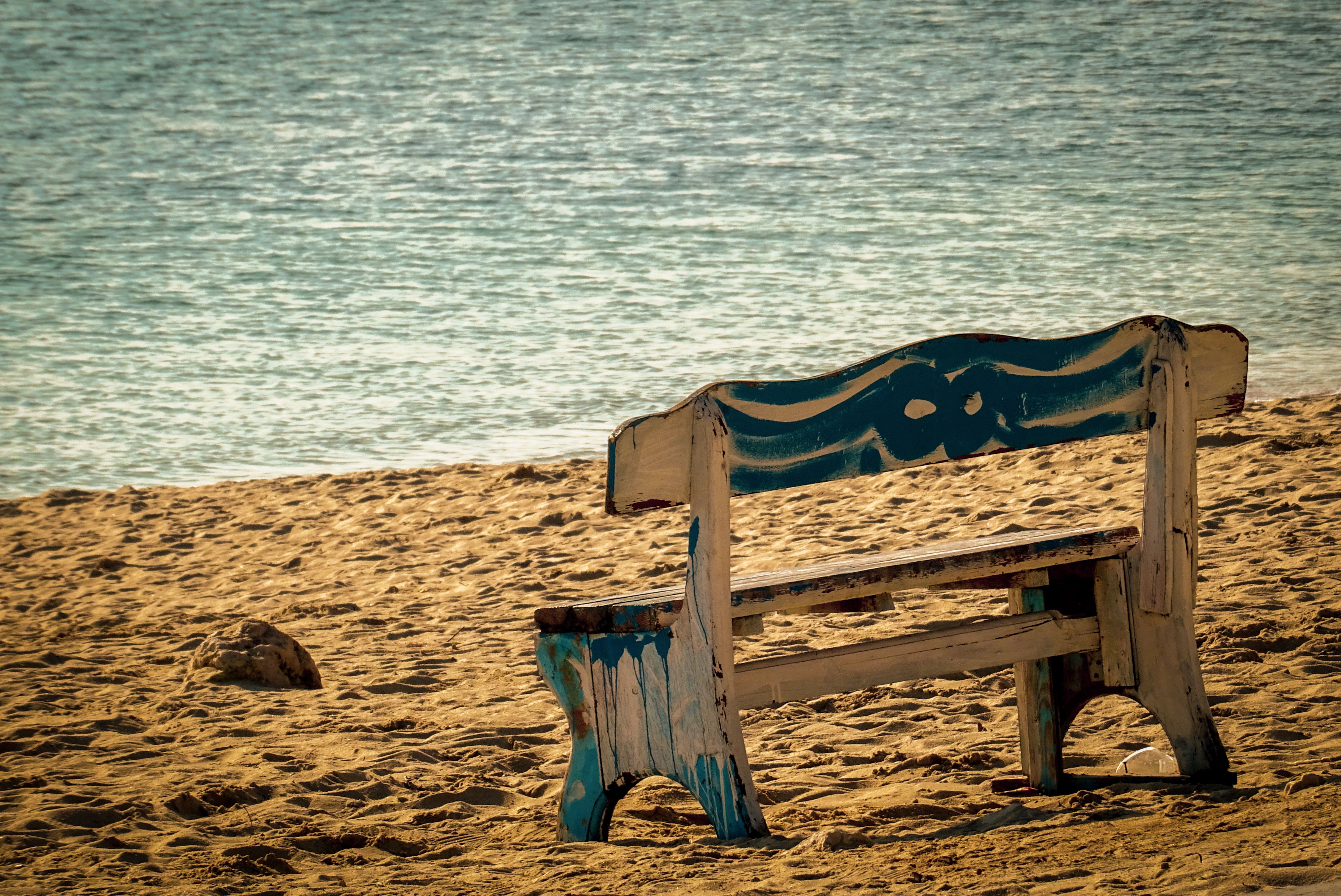 Rustic beach bench by the shore · Free Stock Photo