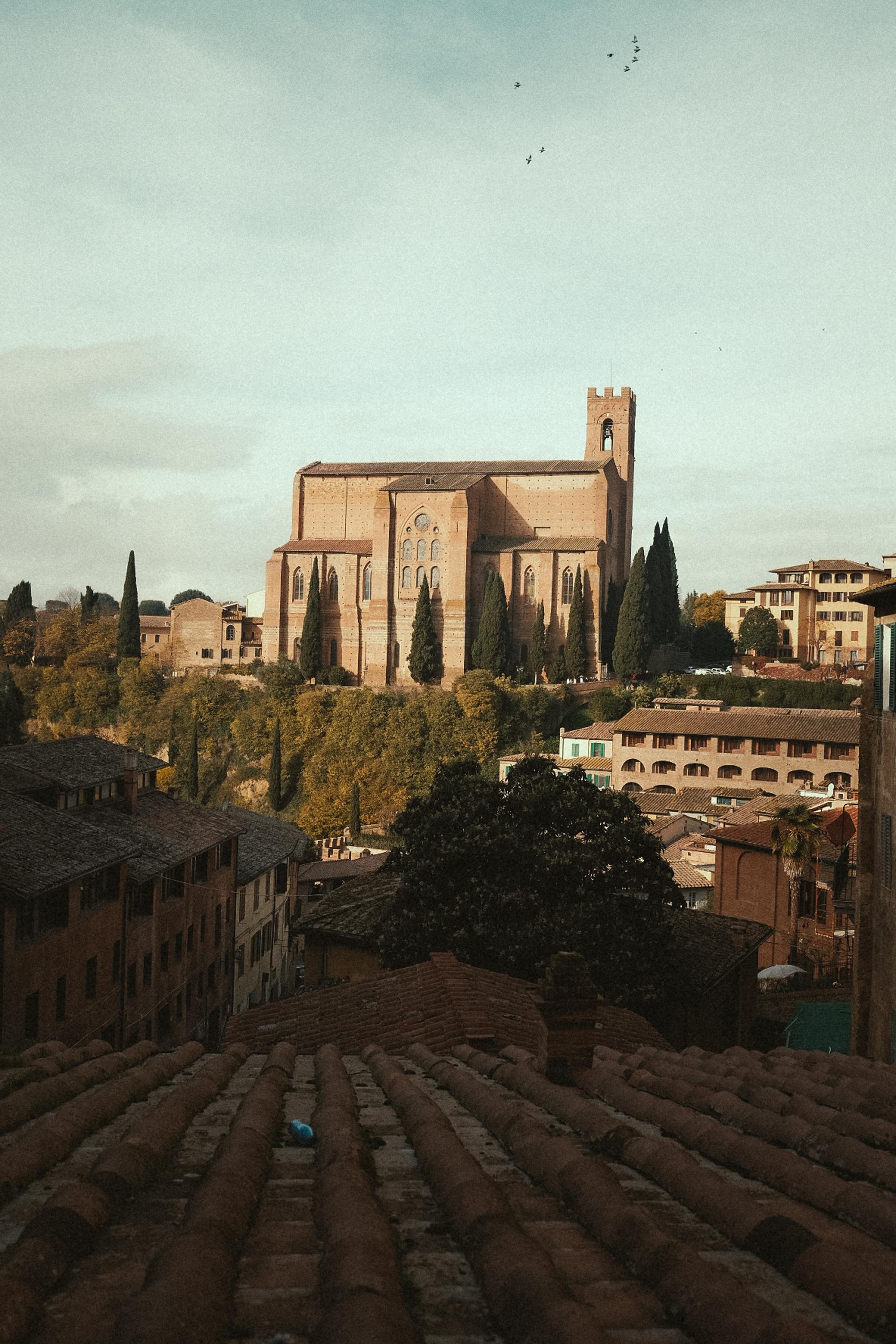 Ingyenes stockfotó ciprus, csempék, cypress fák témában Stockfotó