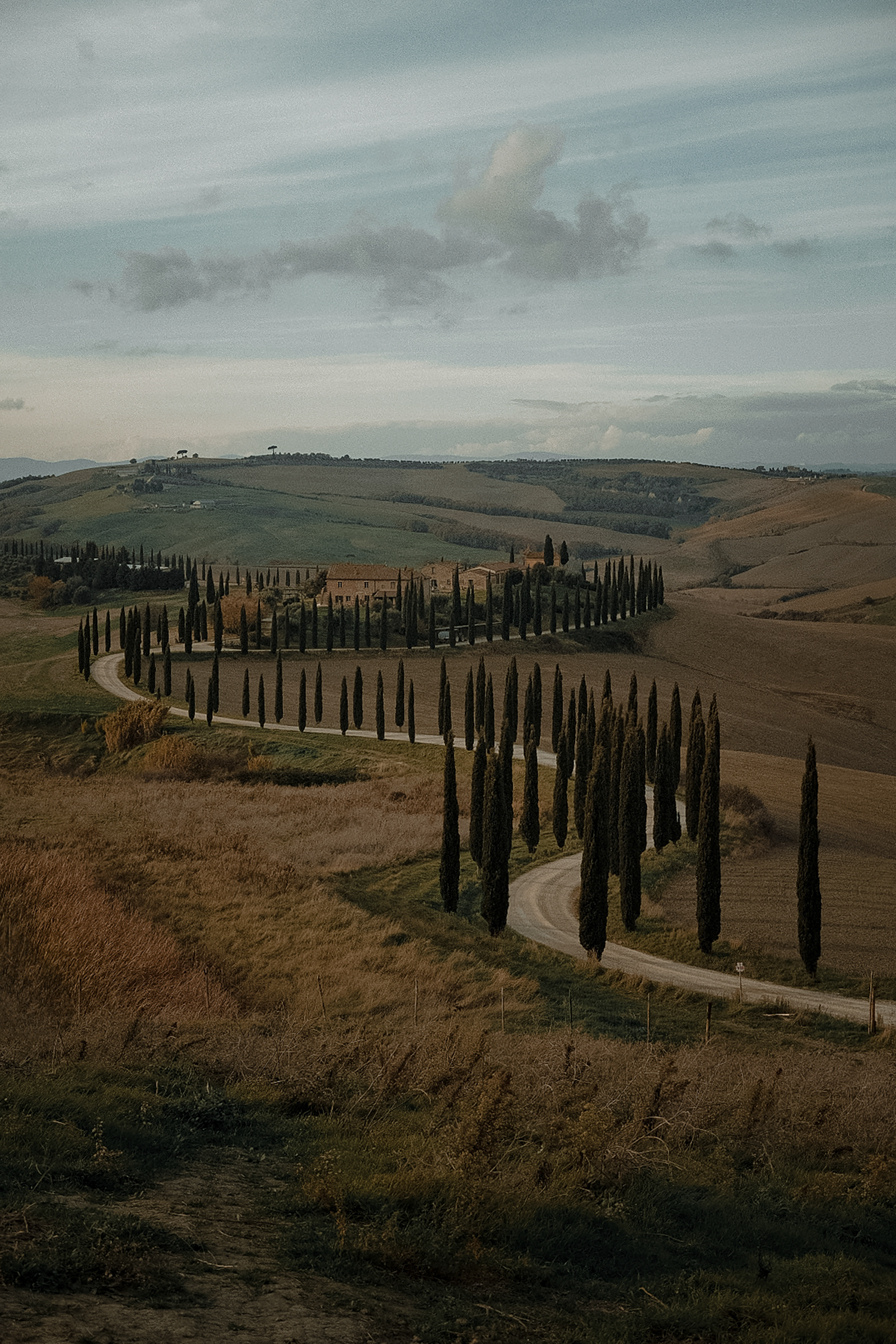 Sunset Over Rolling Tuscan Hills and Cypress Trees · Free Stock Photo