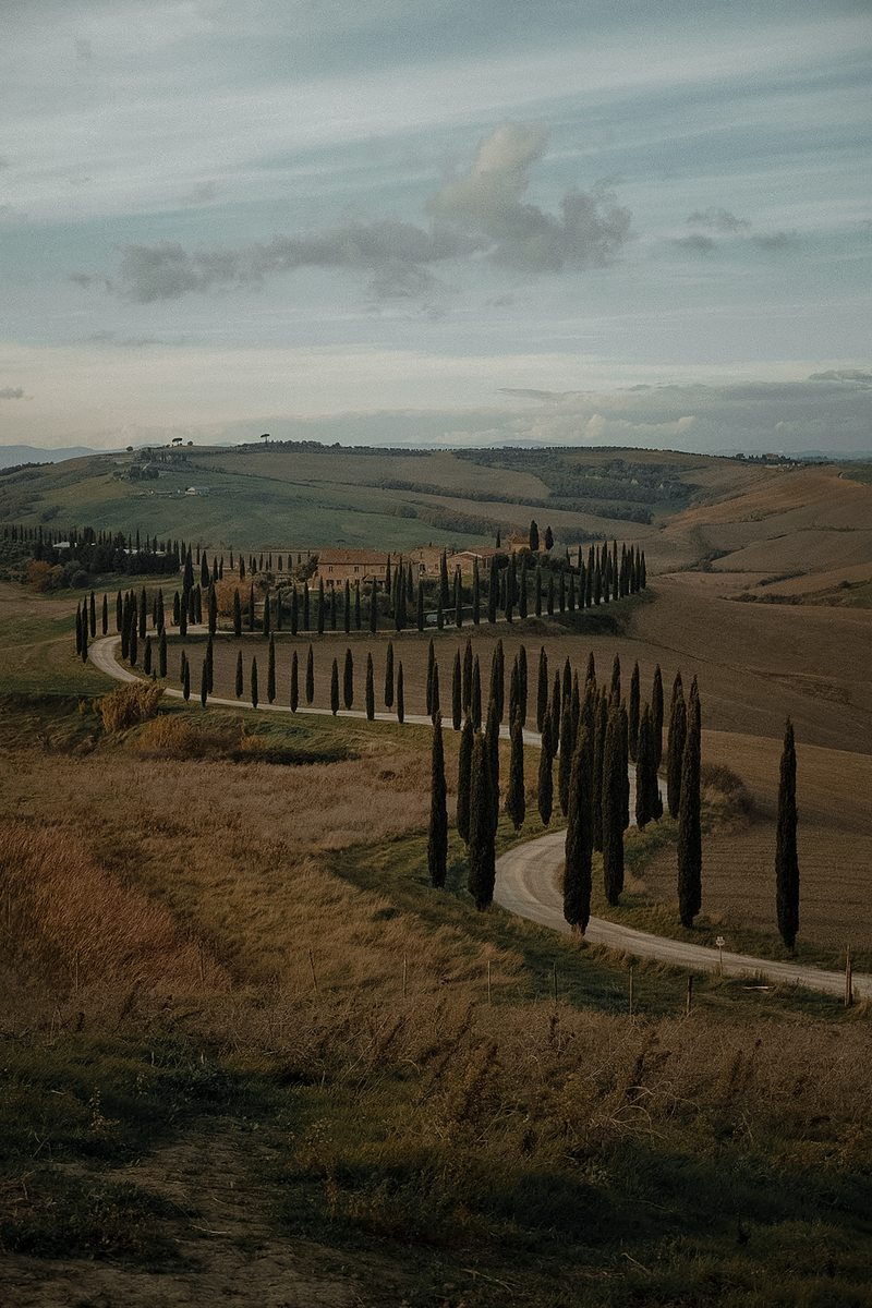 Sunset Over Rolling Tuscan Hills and Cypress Trees · Free Stock Photo