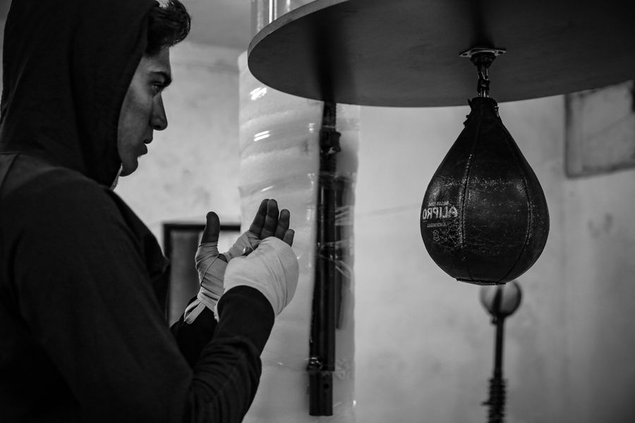 Boxer training on the speed bag