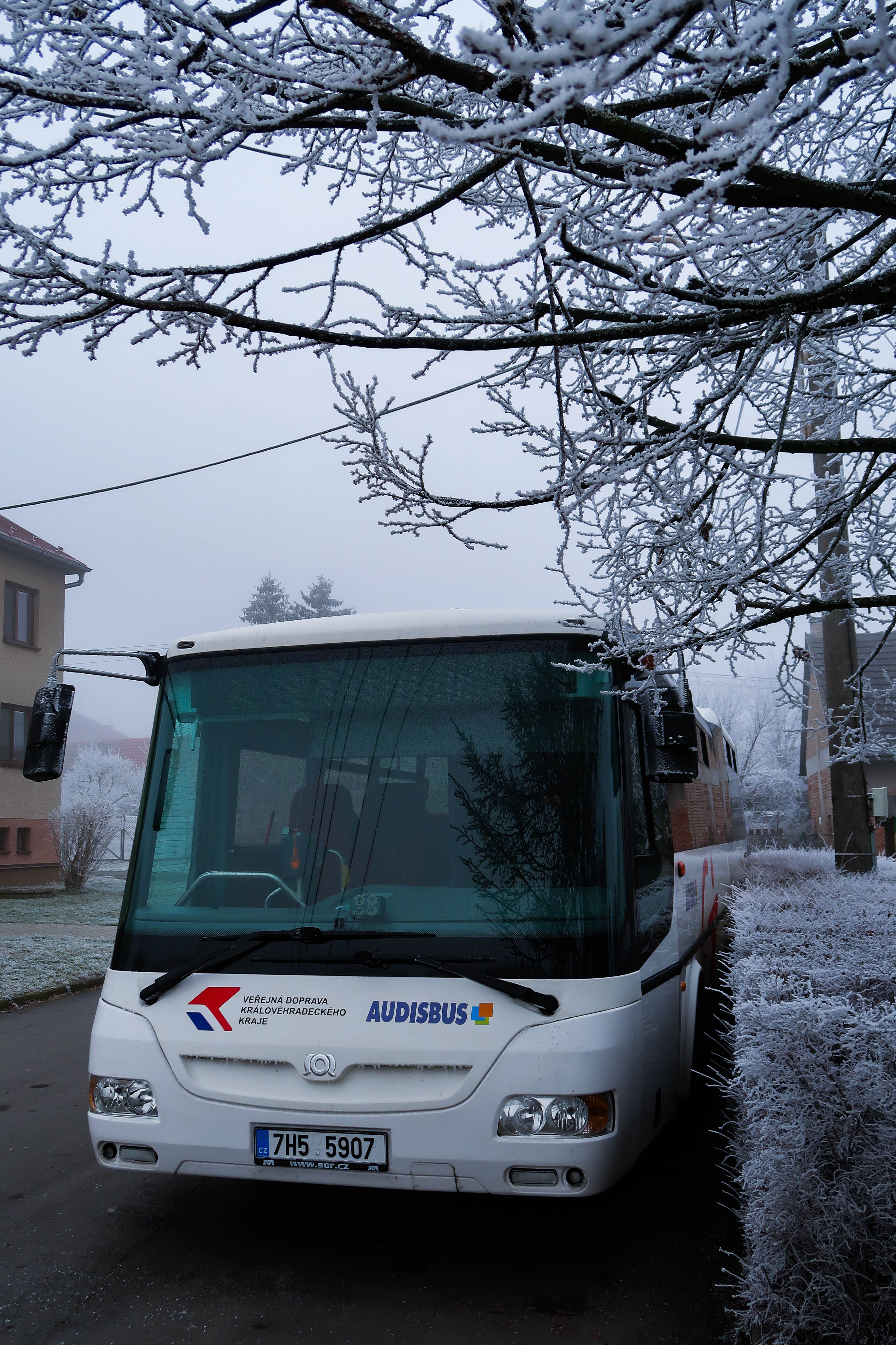 A bus parked on a frosty winter day in Hradec Králové, Czech Republic.