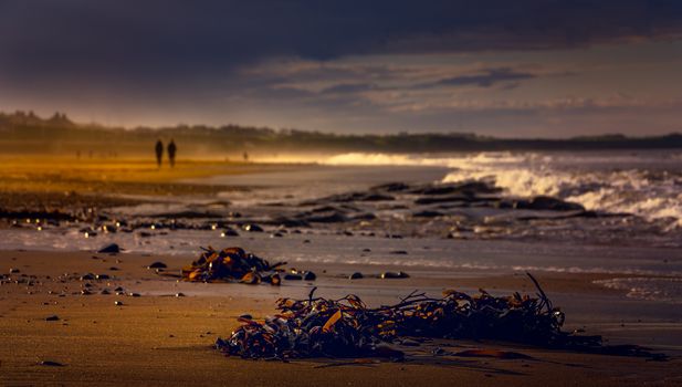 Coastal landscape with seaweed and waves under dramatic sunset sky.