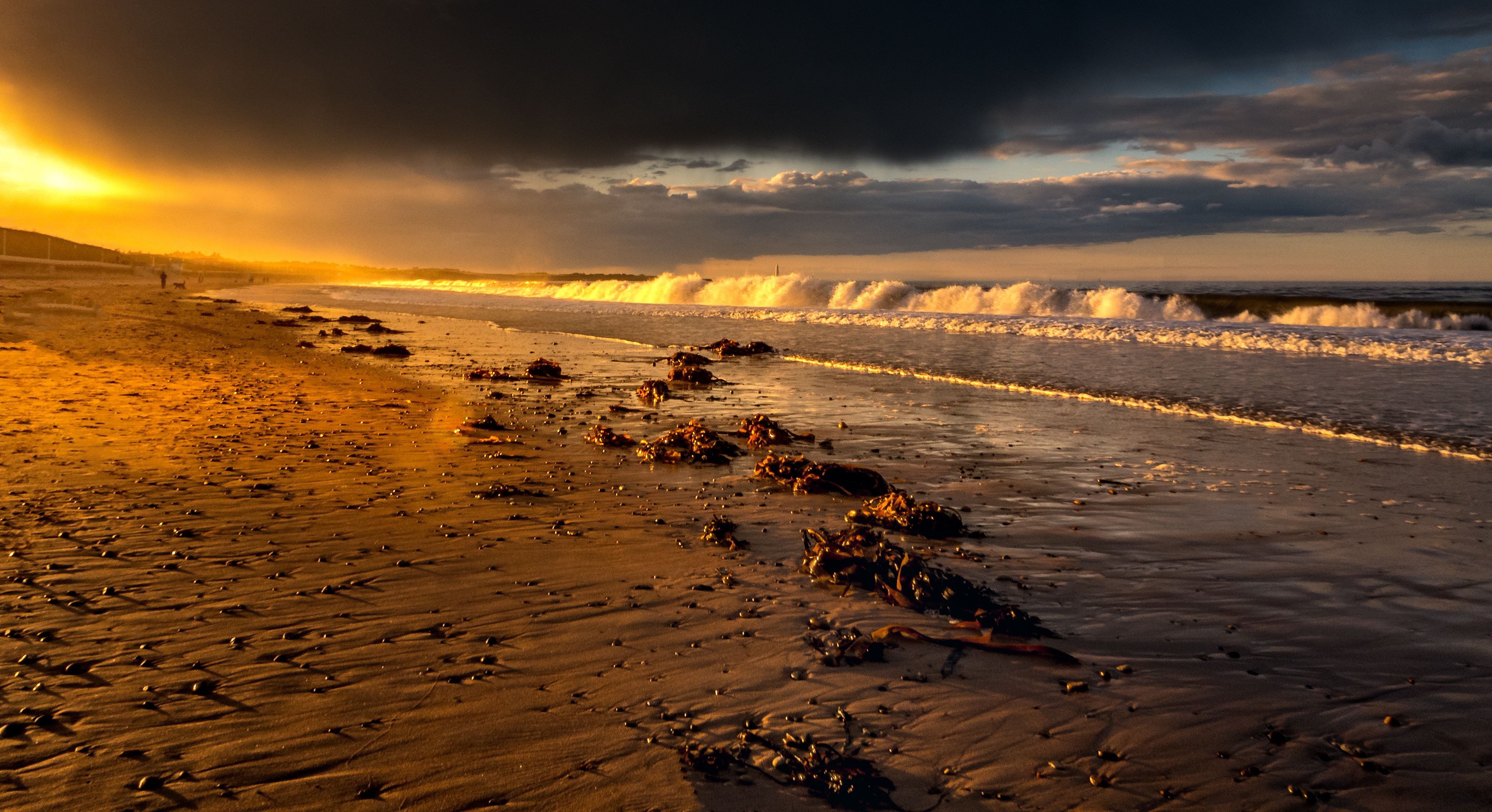 Golden Sunset on Serene Beach Shoreline · Free Stock Photo