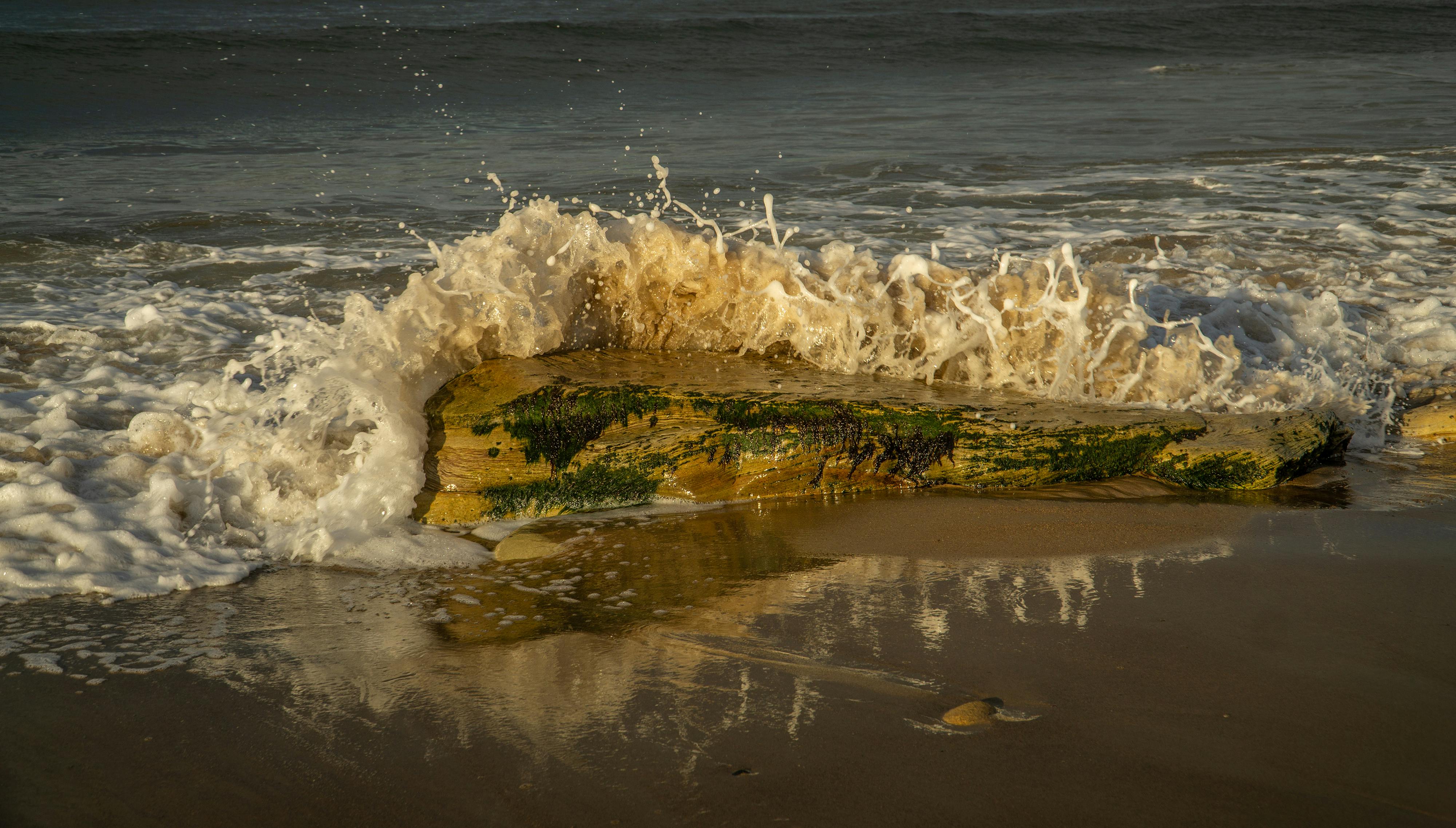Espuma do mar é fenômeno natural causado por algas, não poluição