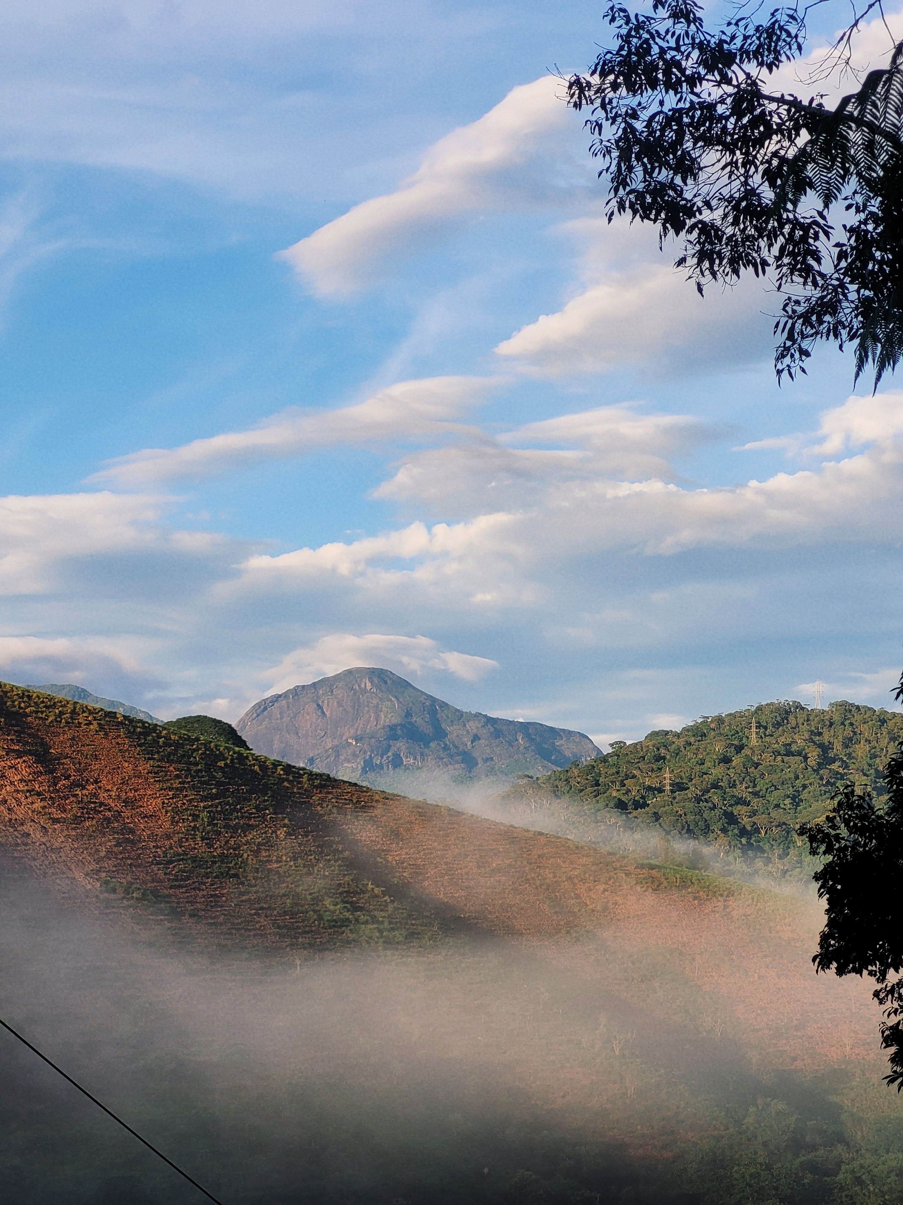 Misty Mountain Landscape with Lush Greenery · Free Stock Photo