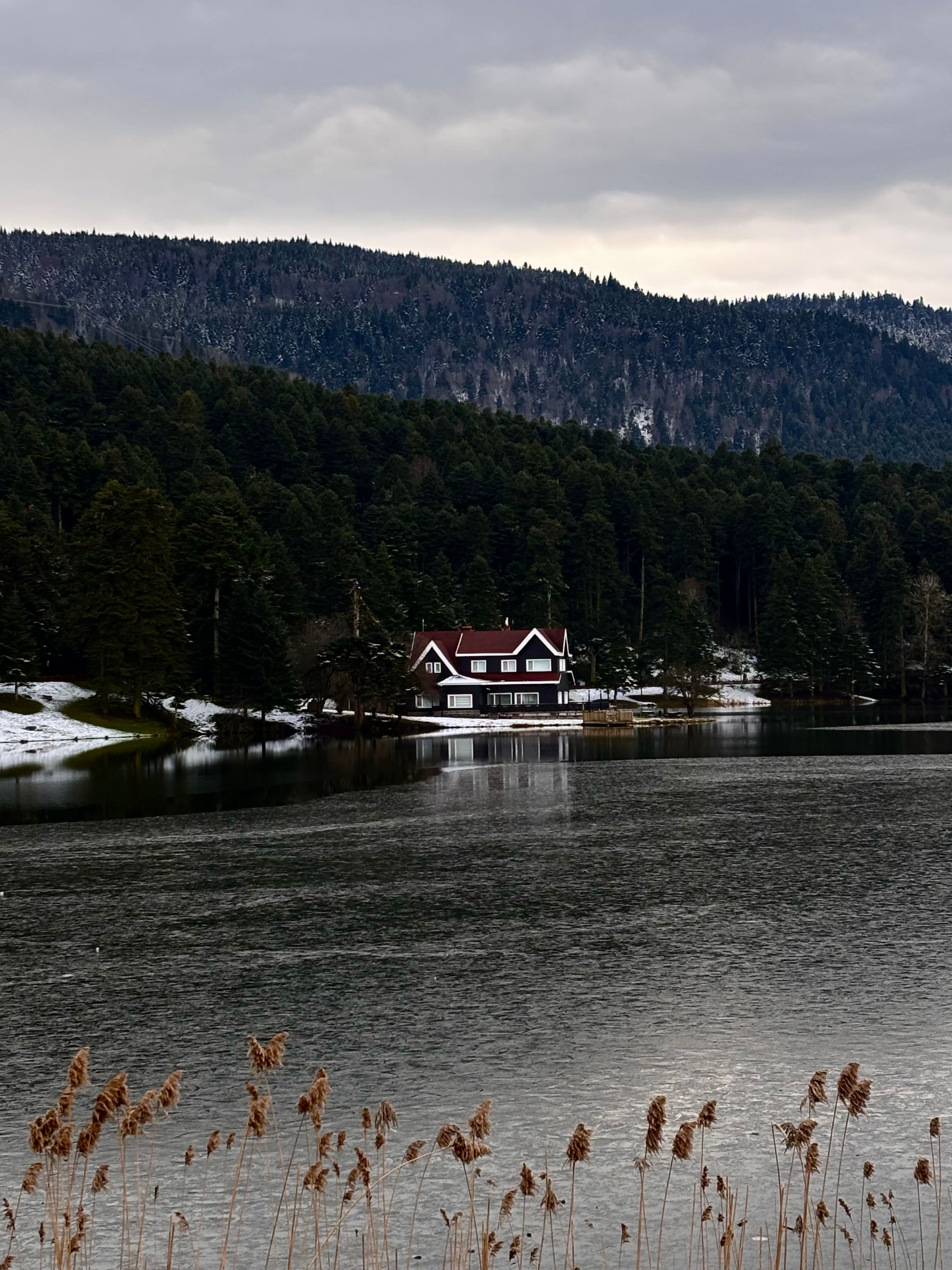 Charming lakeside house nestled in a snowy forest with tranquil waters and lush greenery.