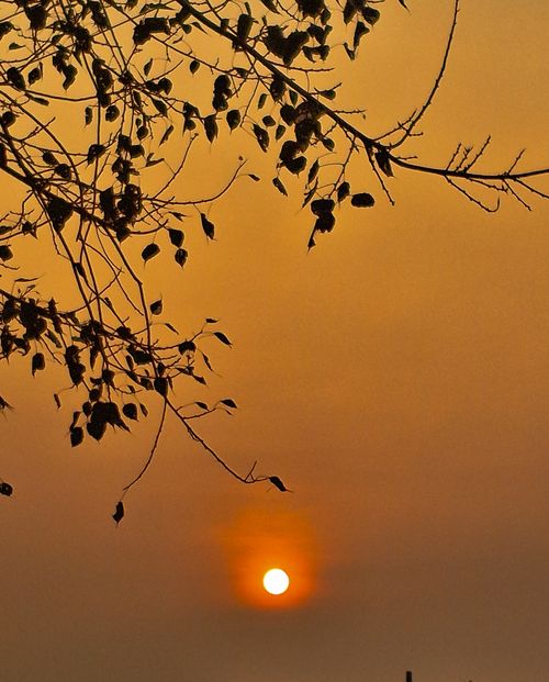 Free sunrise from port Stock Photo