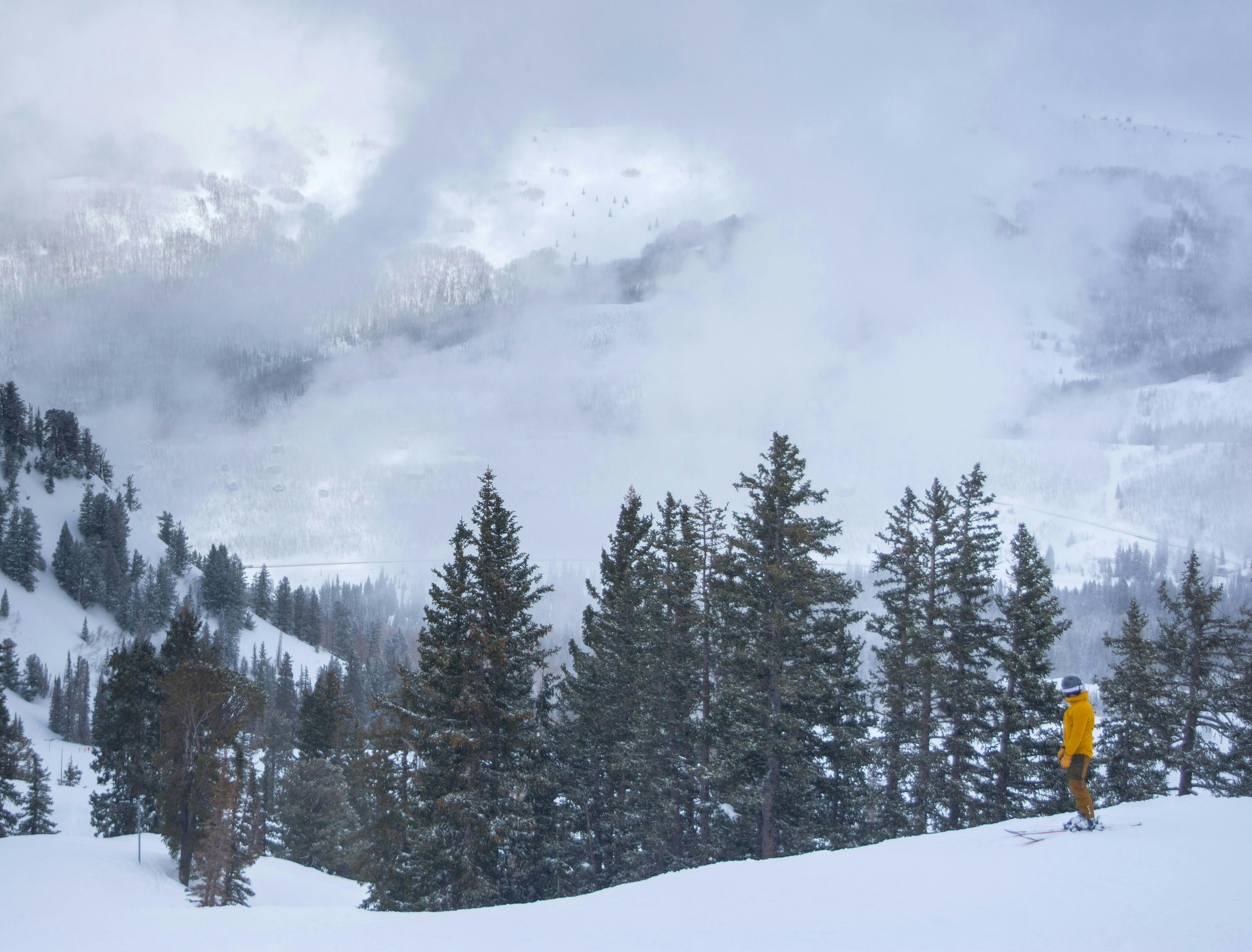 Trew Gear Cosmic Primo Review — Photo by Alex Moliski on Pexels