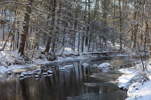 Free Snow-covered trees and a tranquil river create a serene winter scene in Stamford, Connecticut. Stock Photo