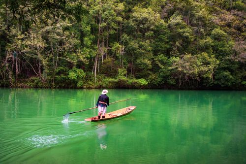 Free A person navigates a canoe on a bright, serene green river surrounded by lush forest. Stock Photo