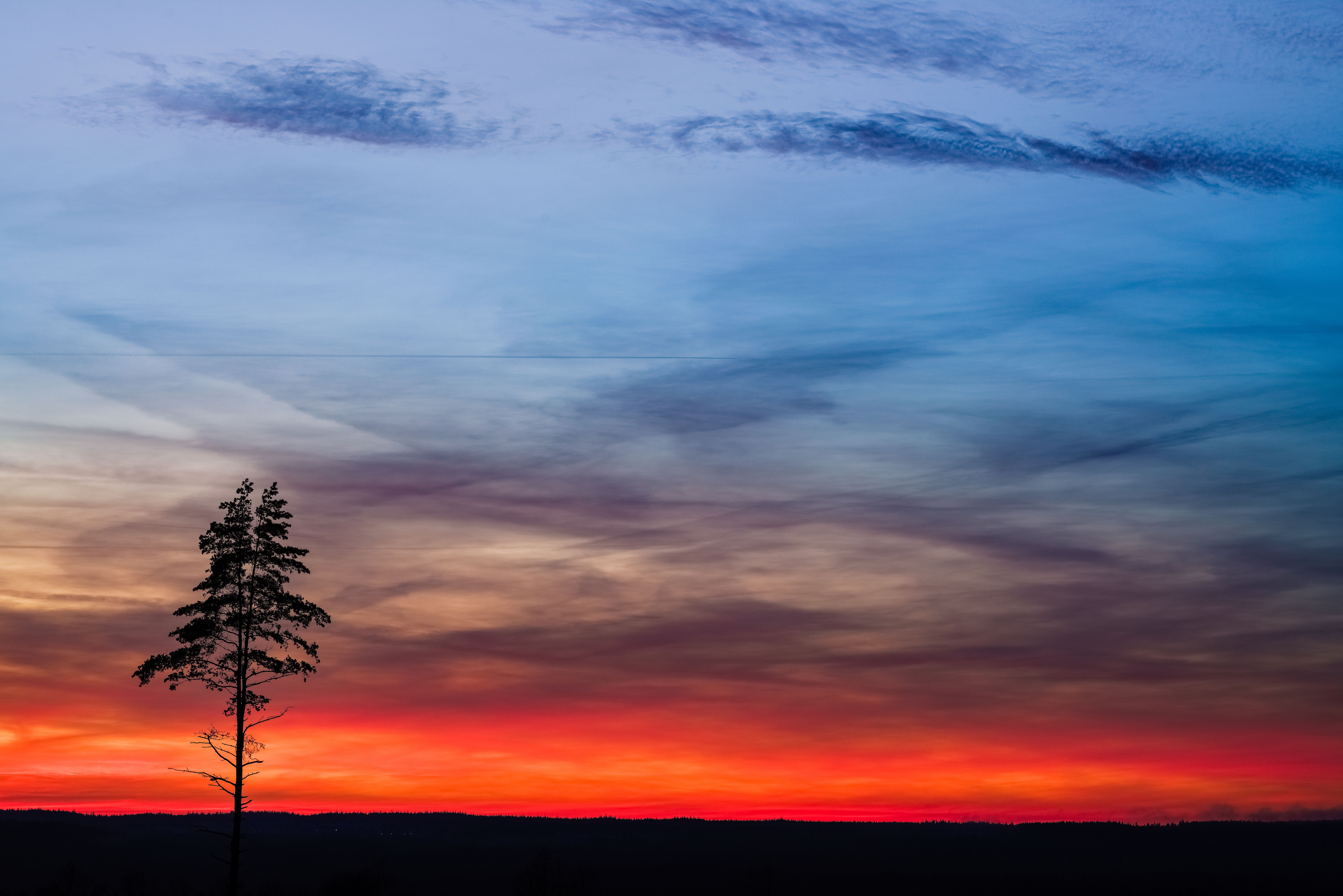 Lone Tree Silhouette Against Vibrant Sunset · Free Stock Photo