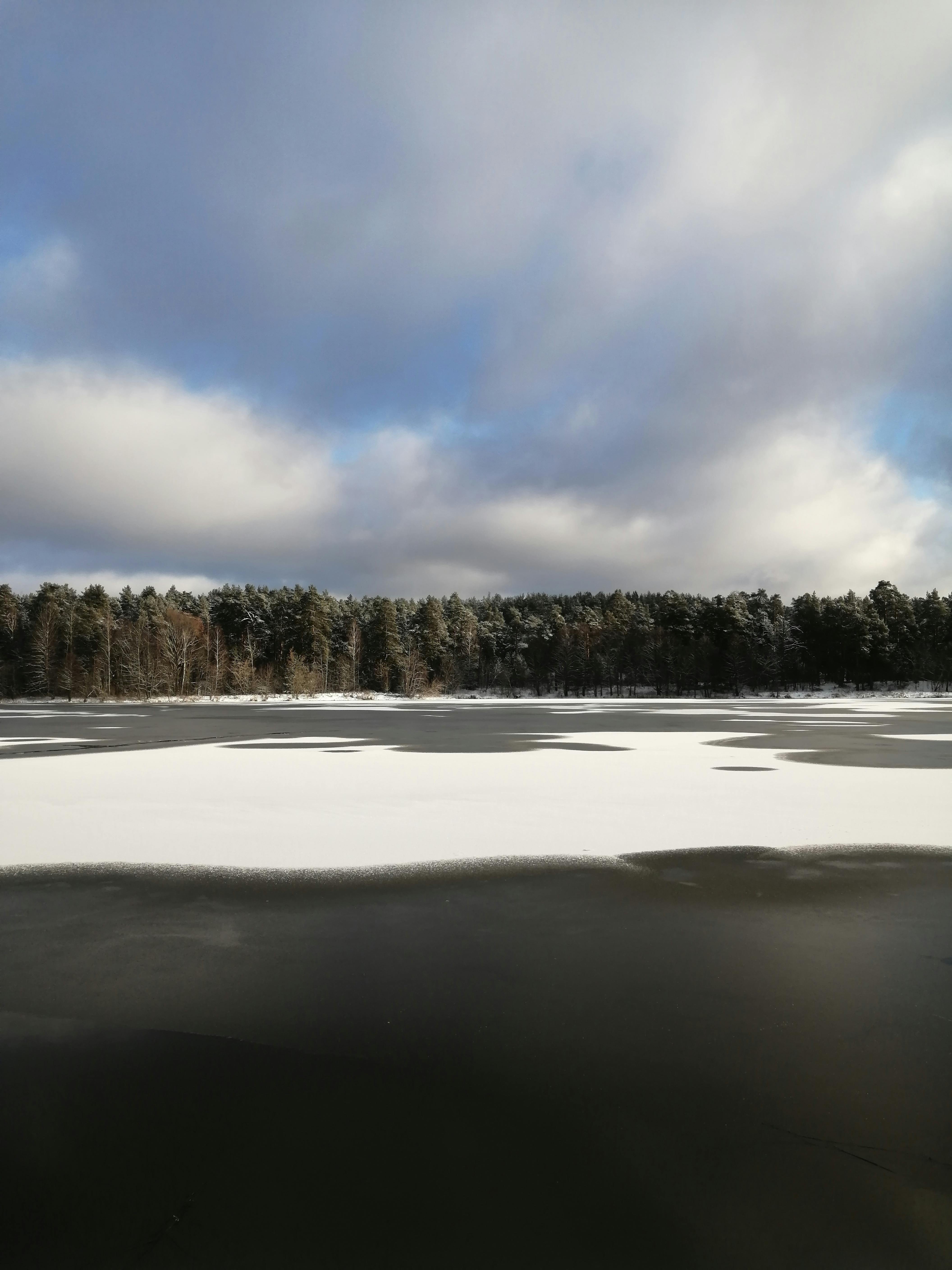 無料 曇った冬の空の下、雪に覆われた森に囲まれた静かな凍った湖。 写真素材