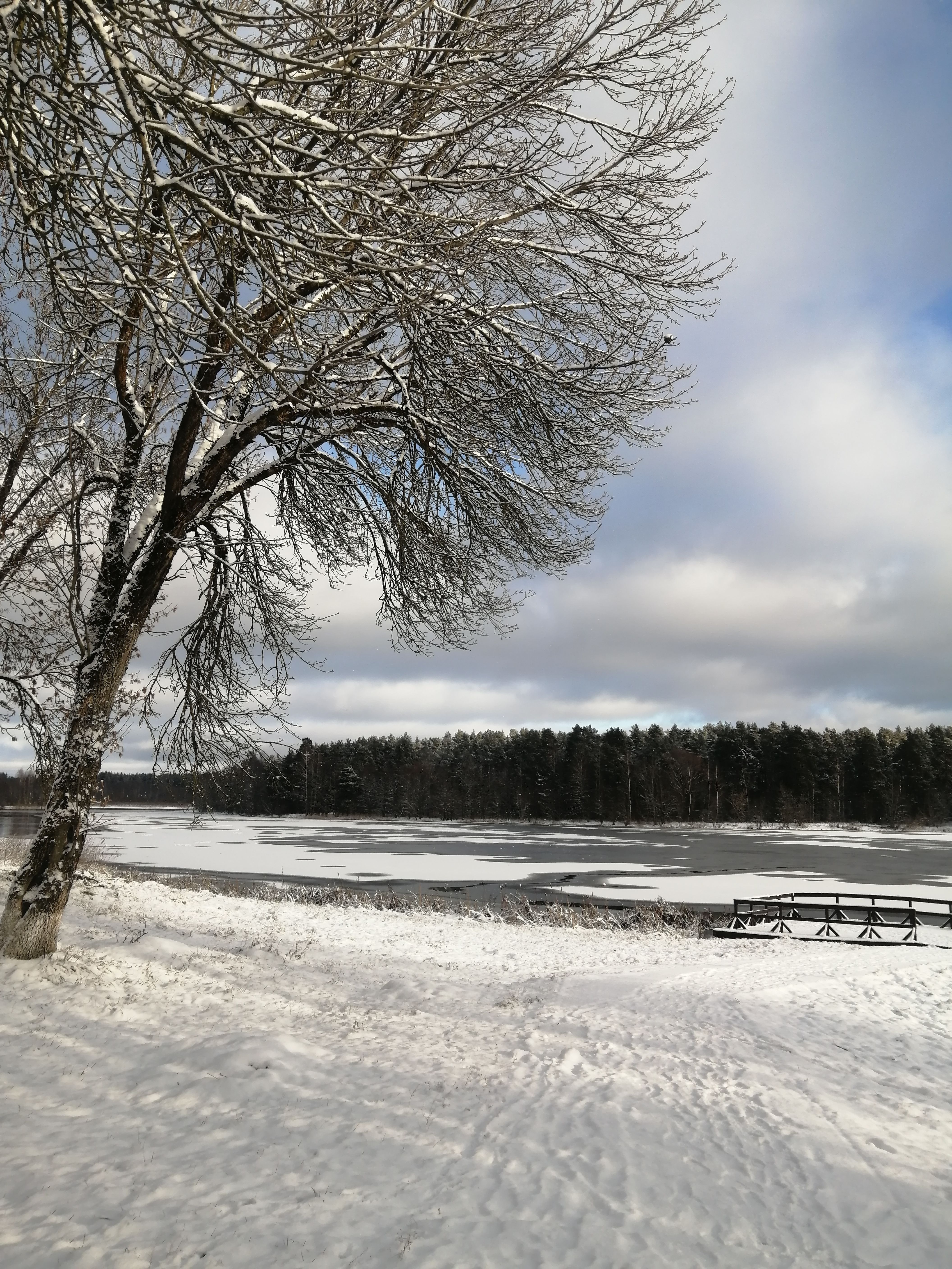 Winter Landscape with Frosted Trees in Sztum · Free Stock Photo