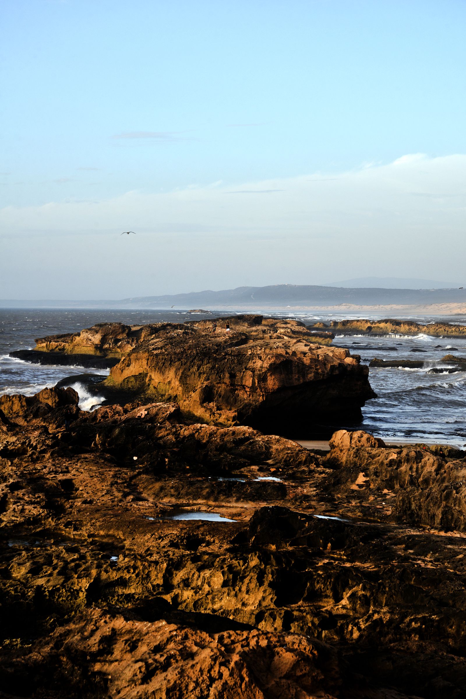 Rugged Atlantic coastline of Essaouira, Morocco