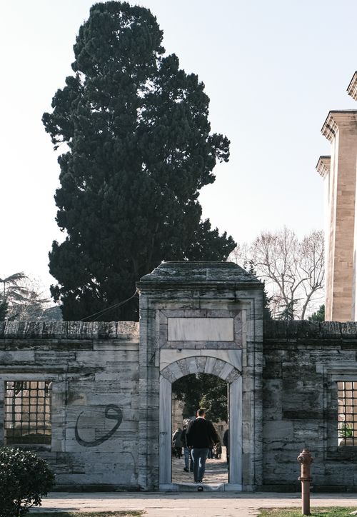 Free A man enters an ancient stone gateway under a large tree on a clear day. Stock Photo