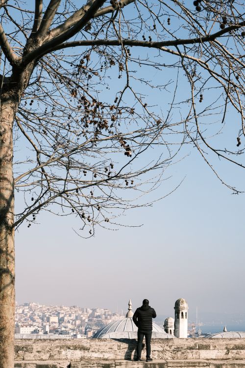 Free A lone figure admires a panoramic cityscape under a bare winter tree. Stock Photo