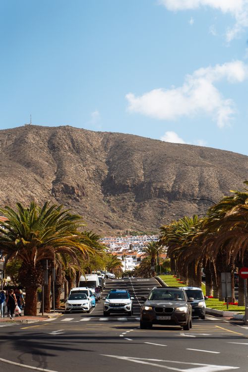 Free A scenic drive through a palm-lined street in the Canary Islands with mountains in the backdrop. Stock Photo
