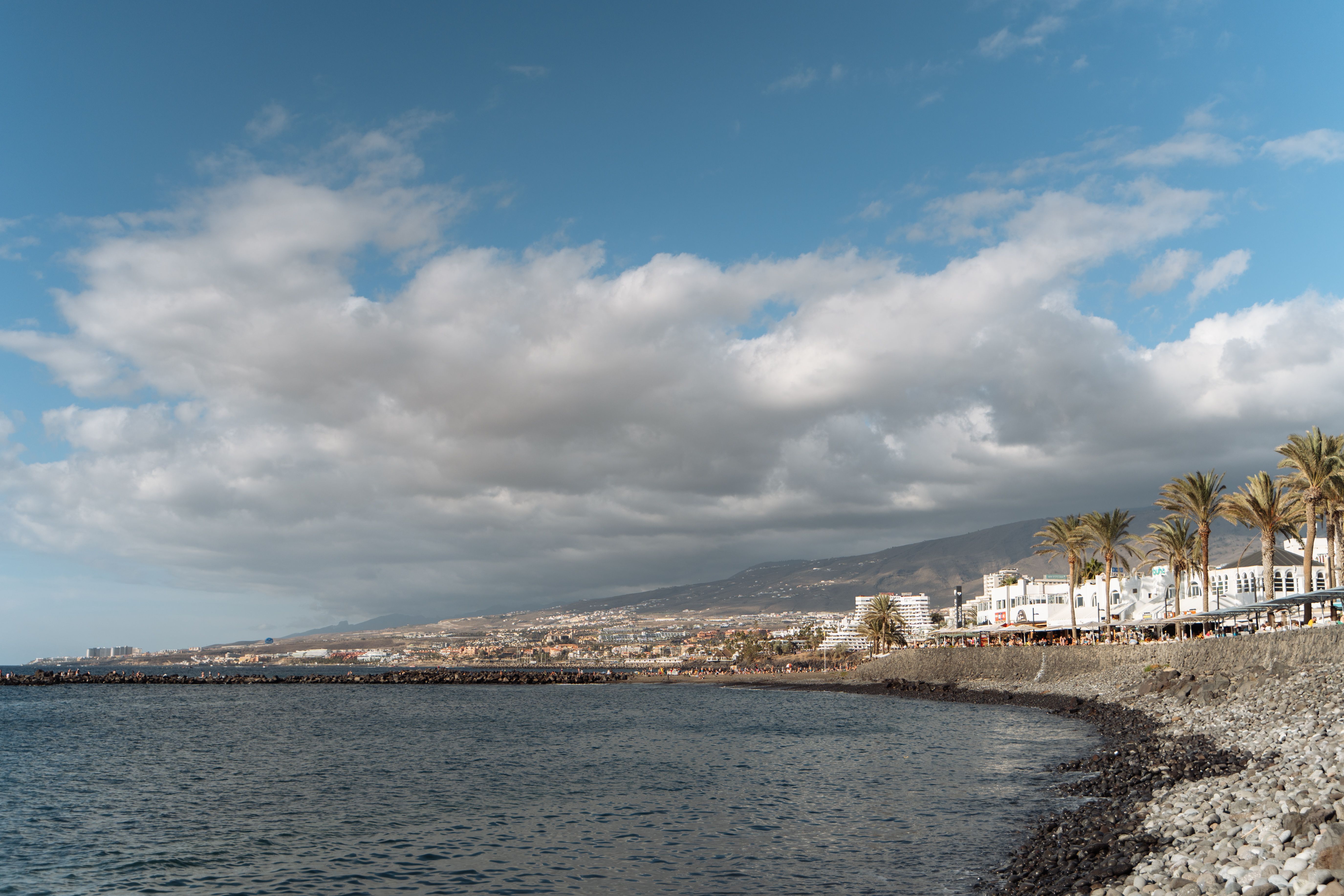 Kustlijn van Tenerife met palmen en bergachtig binnenland