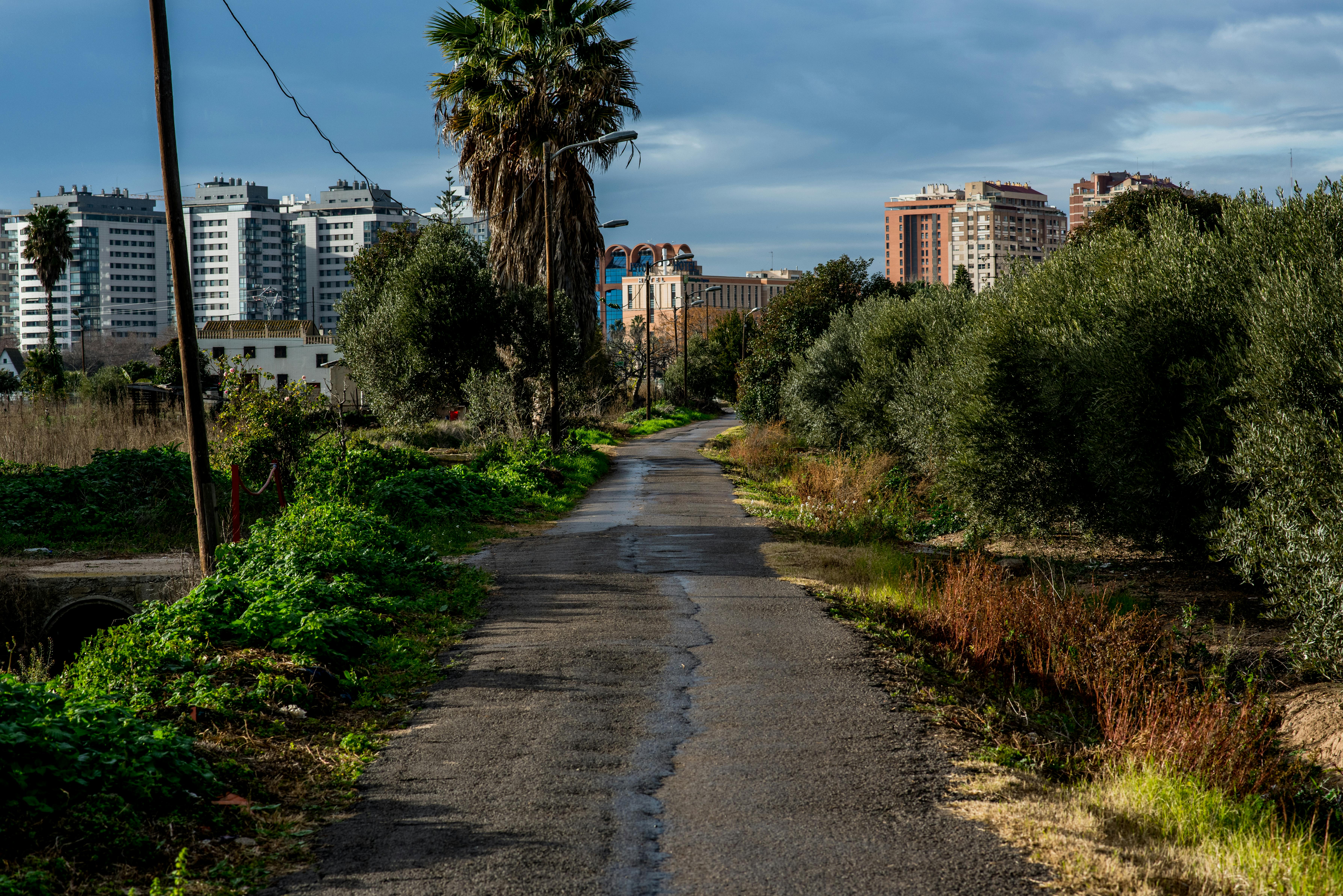 Unveiling Alex Warren's Rise to Fame: What Set His Ordinary Journey Apart in 2023?