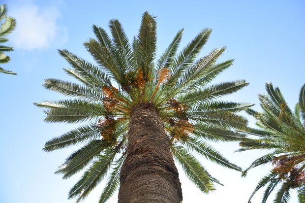 Jardin botanical garden Rabat