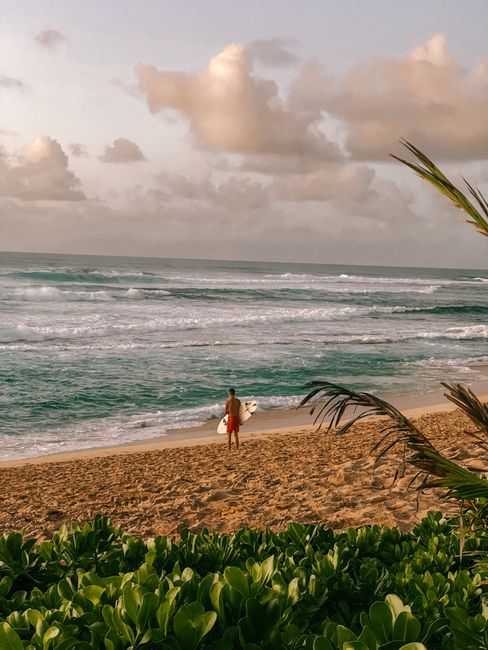 A lone surfer with a board on a sandy Hawaiian beach at sunset, facing the waves.