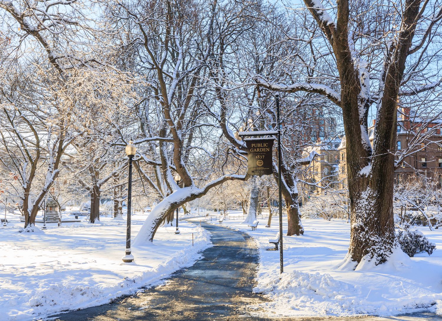 Snowy Boston Public Garden