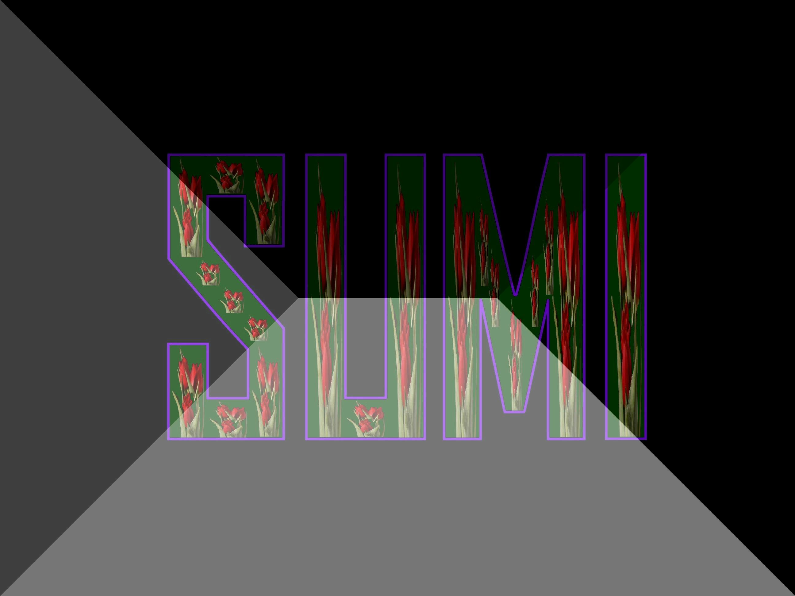 Style3D 3D 服装模拟