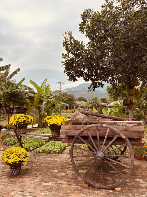 Free A rustic wooden cart with vibrant yellow flowers in a lush outdoor garden. Stock Photo