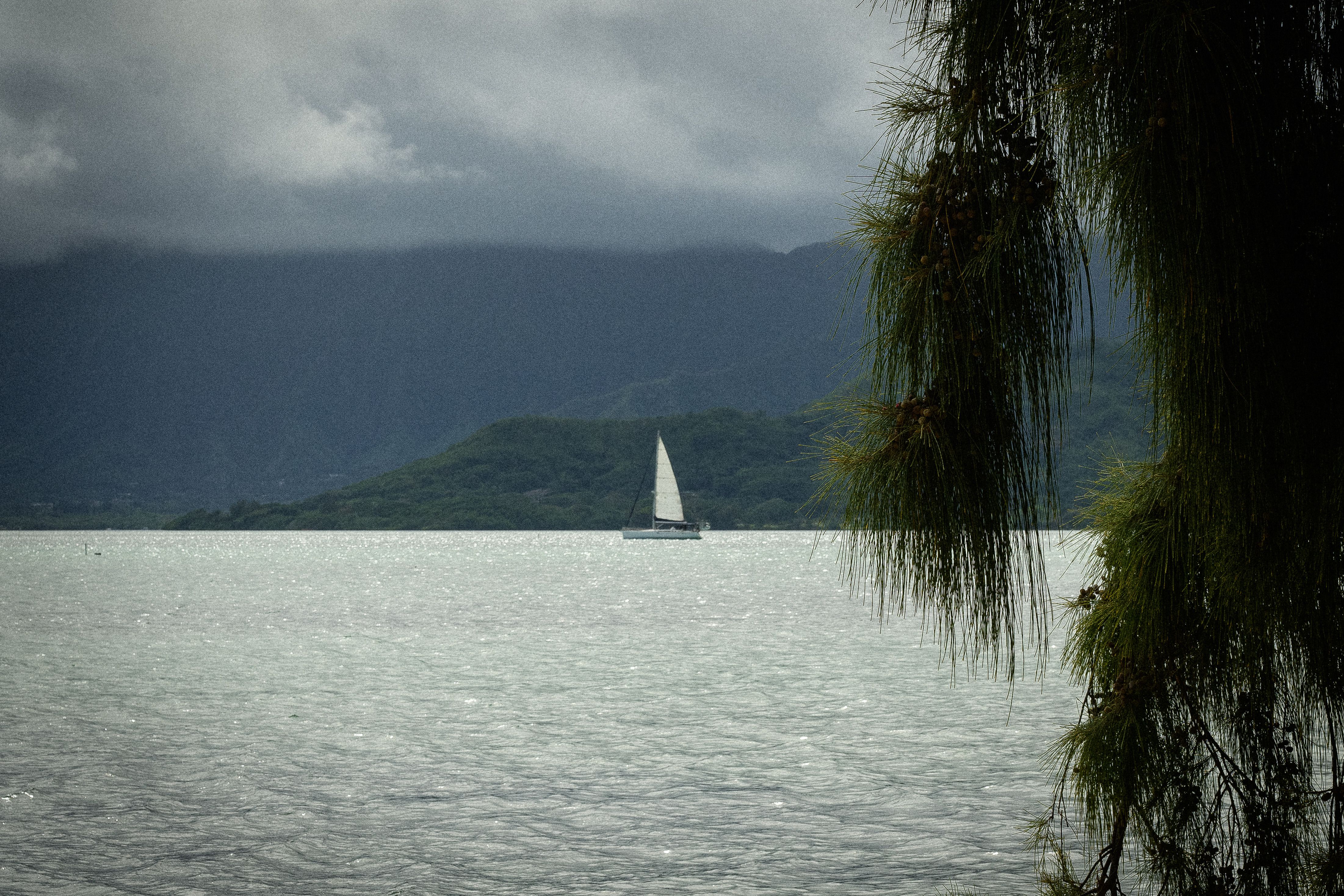 Outstanding Oahu Small Group Snorkel Tour with Yacht Cruise Review: The Ultimate West Oahu Experience Review 2026 - A solitary sailboat glides across a misty lake, framed by lush foliage and distant hills.