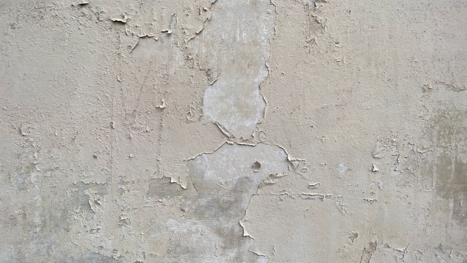 Weathered plaster wall with peeling paint and pale salt-like bloom indicating moisture migration through masonry.