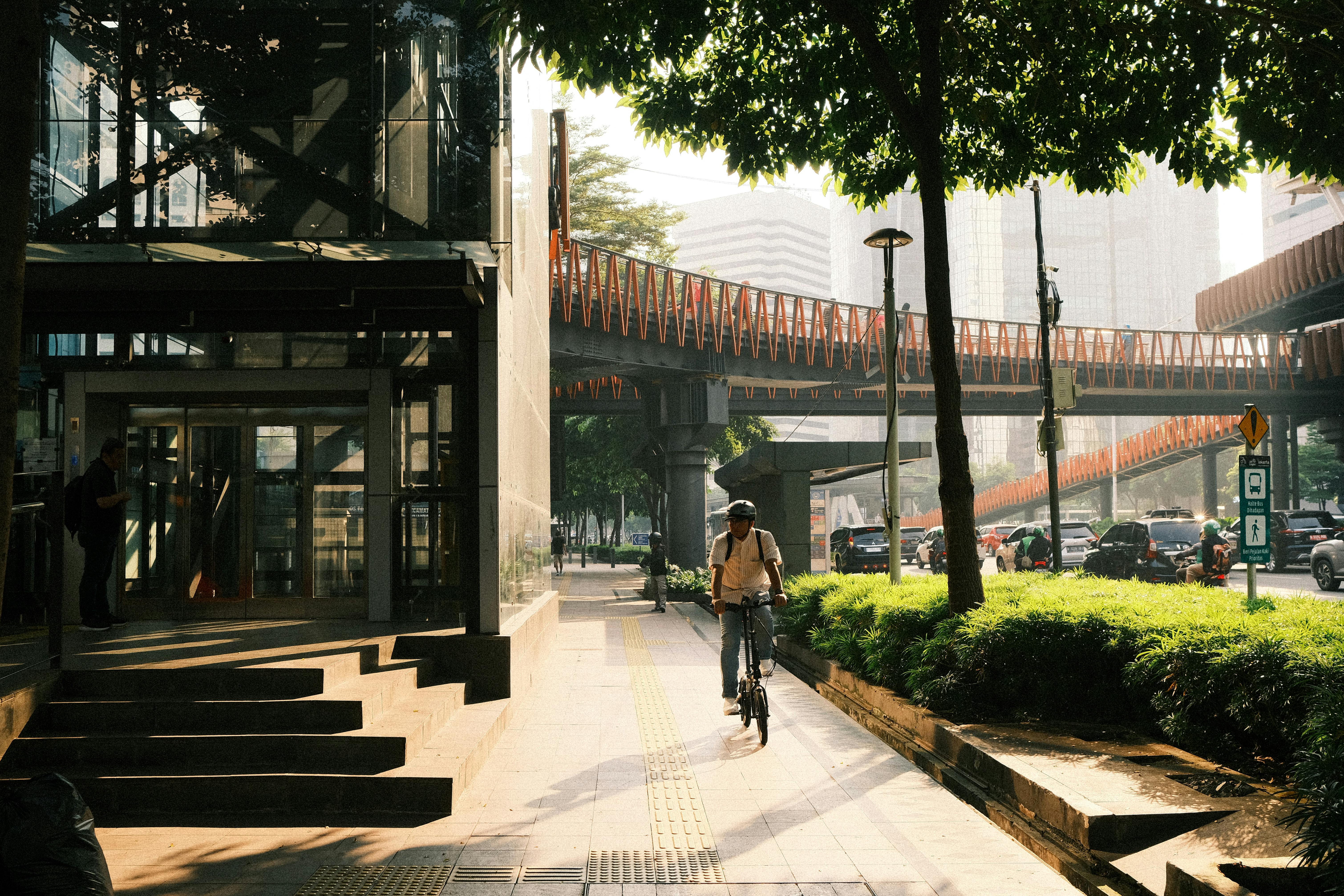 Cycling on a sunny morning.