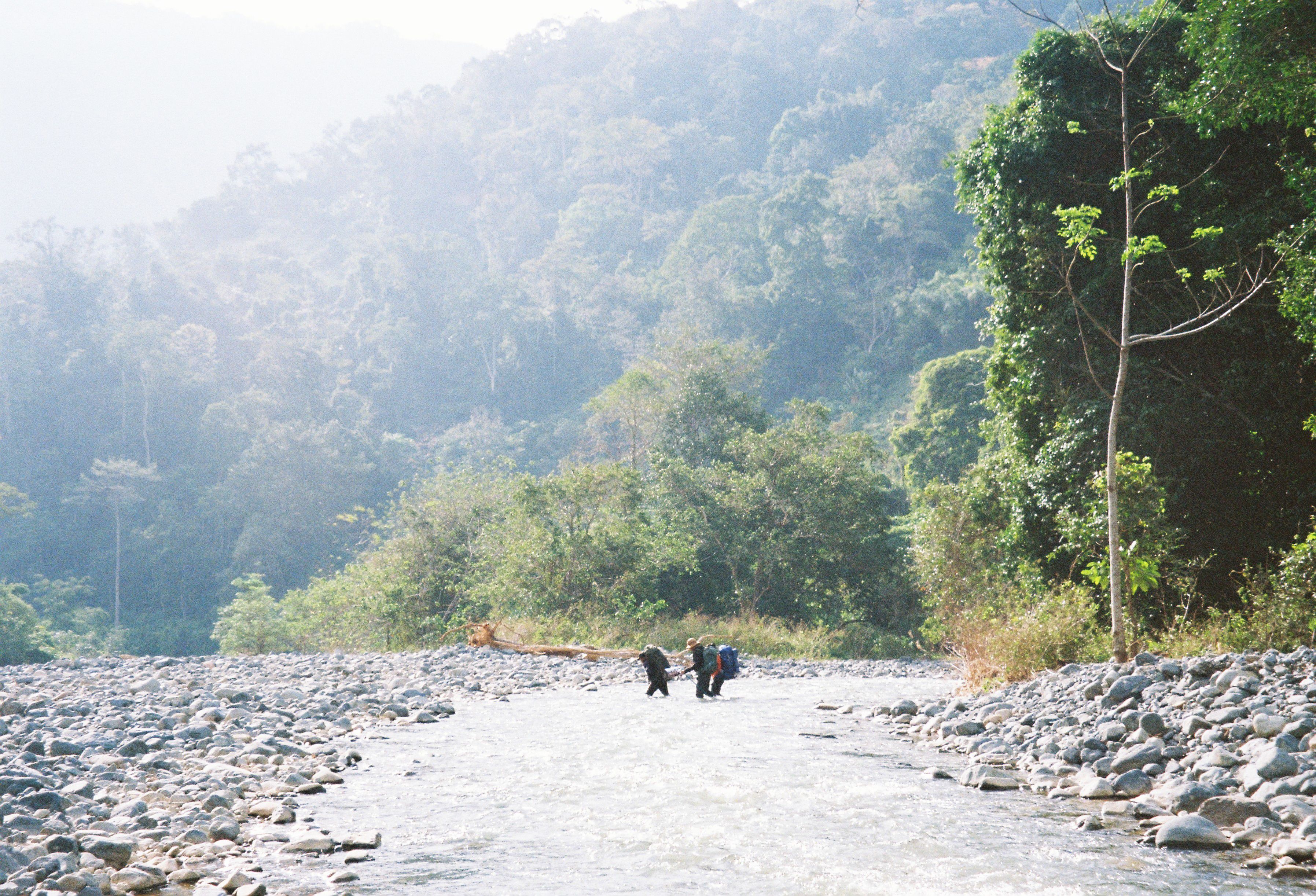 Three hikers traverse a river surrounded by dense forest, under the bright daylight.