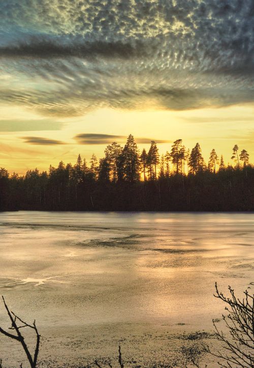 Free Tranquil scene of a sunset over a frozen lake with silhouetted pine trees and dramatic clouds. Stock Photo