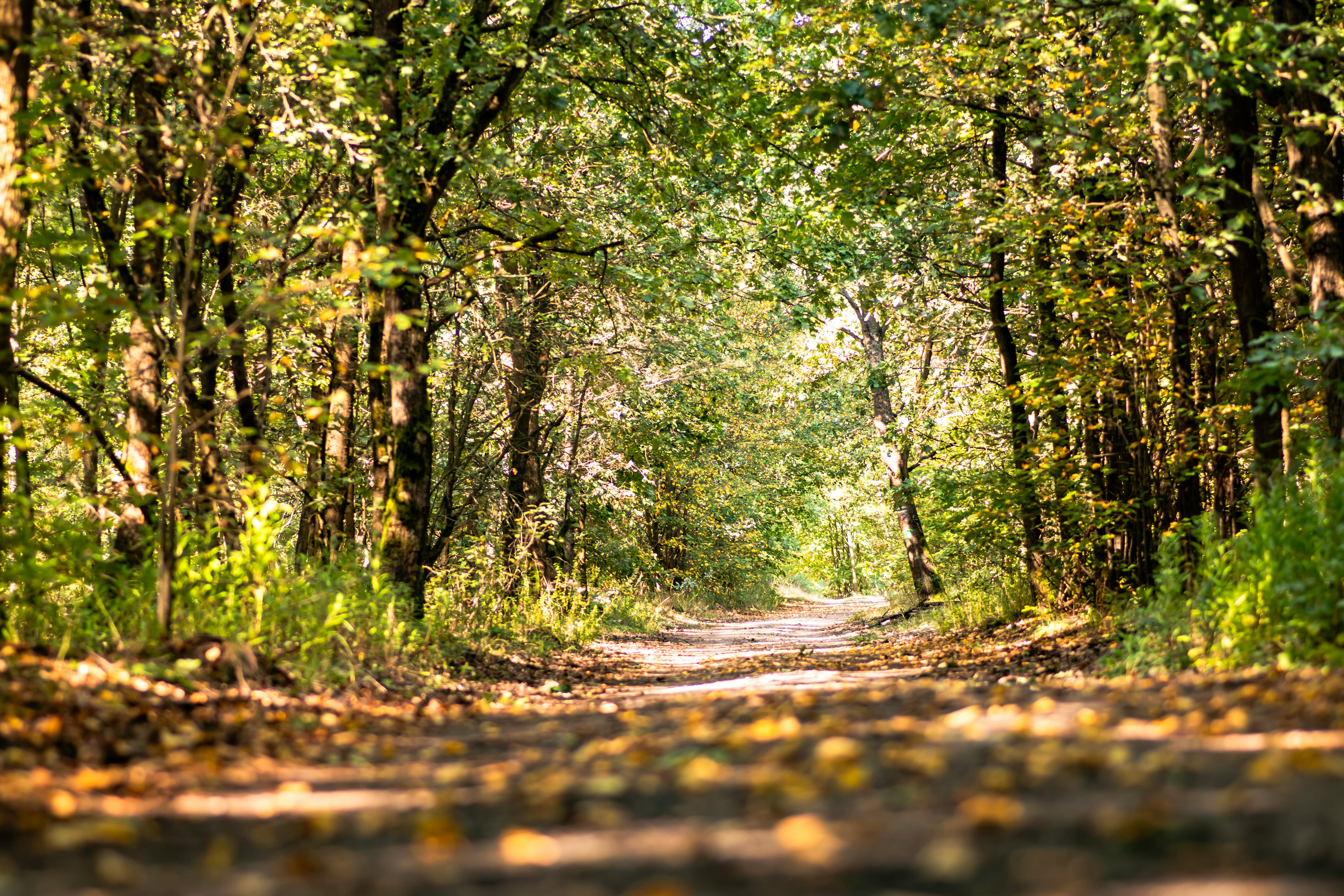 DuPage Forest Preserve executive director leaving for city manager job in Florida — Photo by Krzysztof Jaworski-Fotografia on