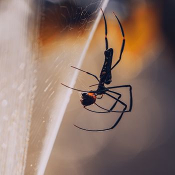 爱游戏