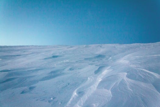 Breathtaking snowy expanse in Komi Republic, showcasing serene winter beauty.