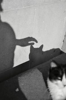 Black and white image of a shadow creating a cat silhouette on a wall, embodying playful mystery.