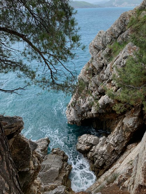 Free Beautiful coastal cliff with turquoise ocean view and lush pine trees. Stock Photo