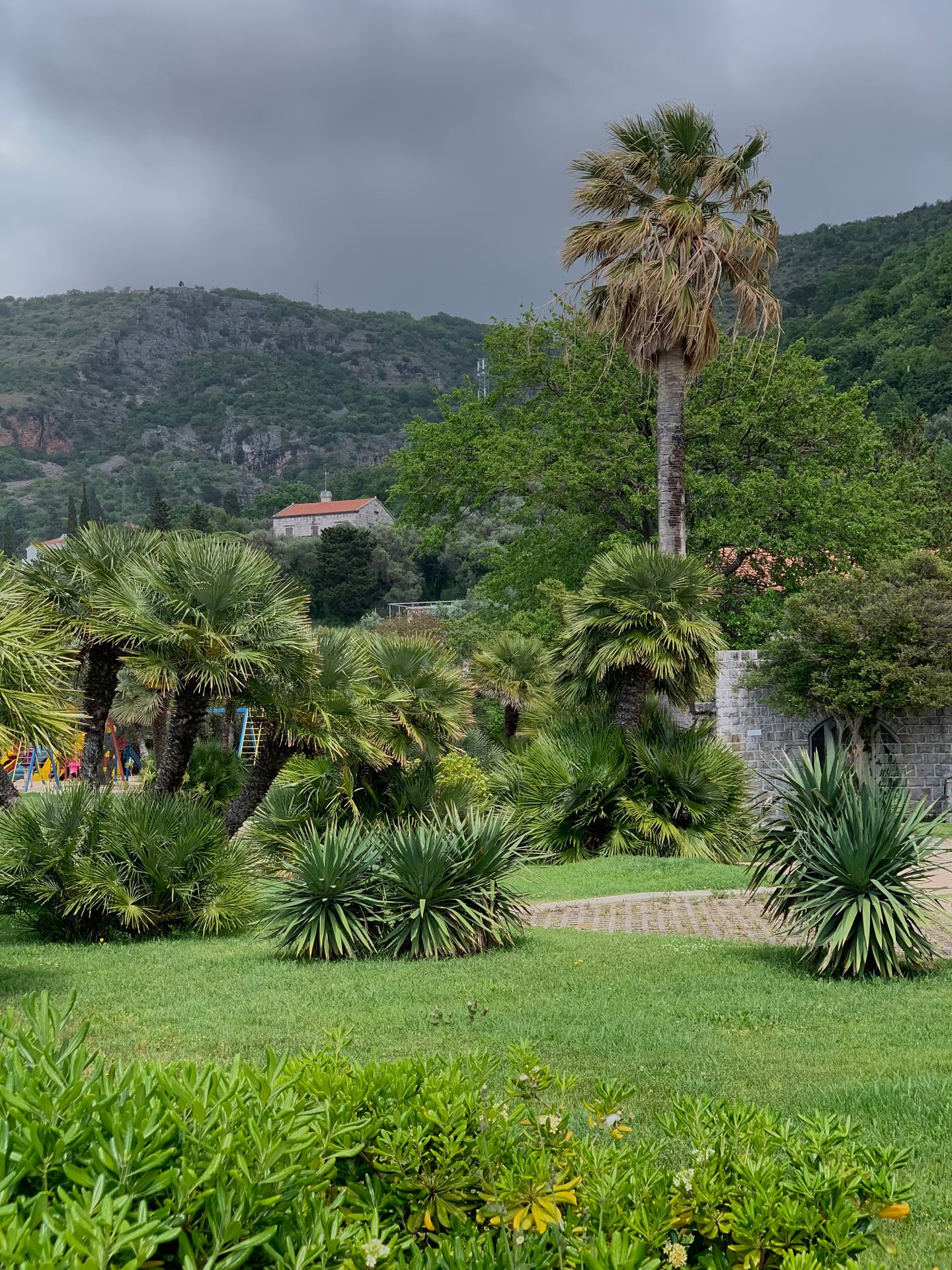 dry exotic garden design