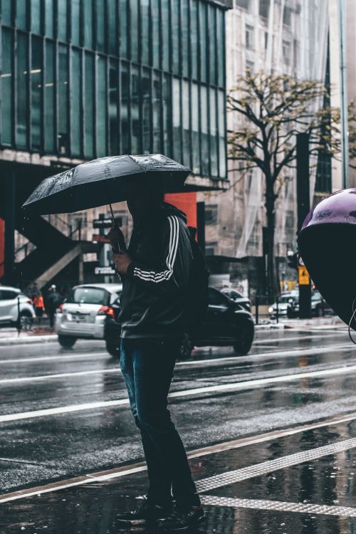 Free A person with an umbrella walks on a rainy city street, surrounded by cars and reflections. Stock Photo