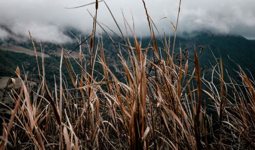 Free stock photo of alone, beautiful, clouds Stock Photo