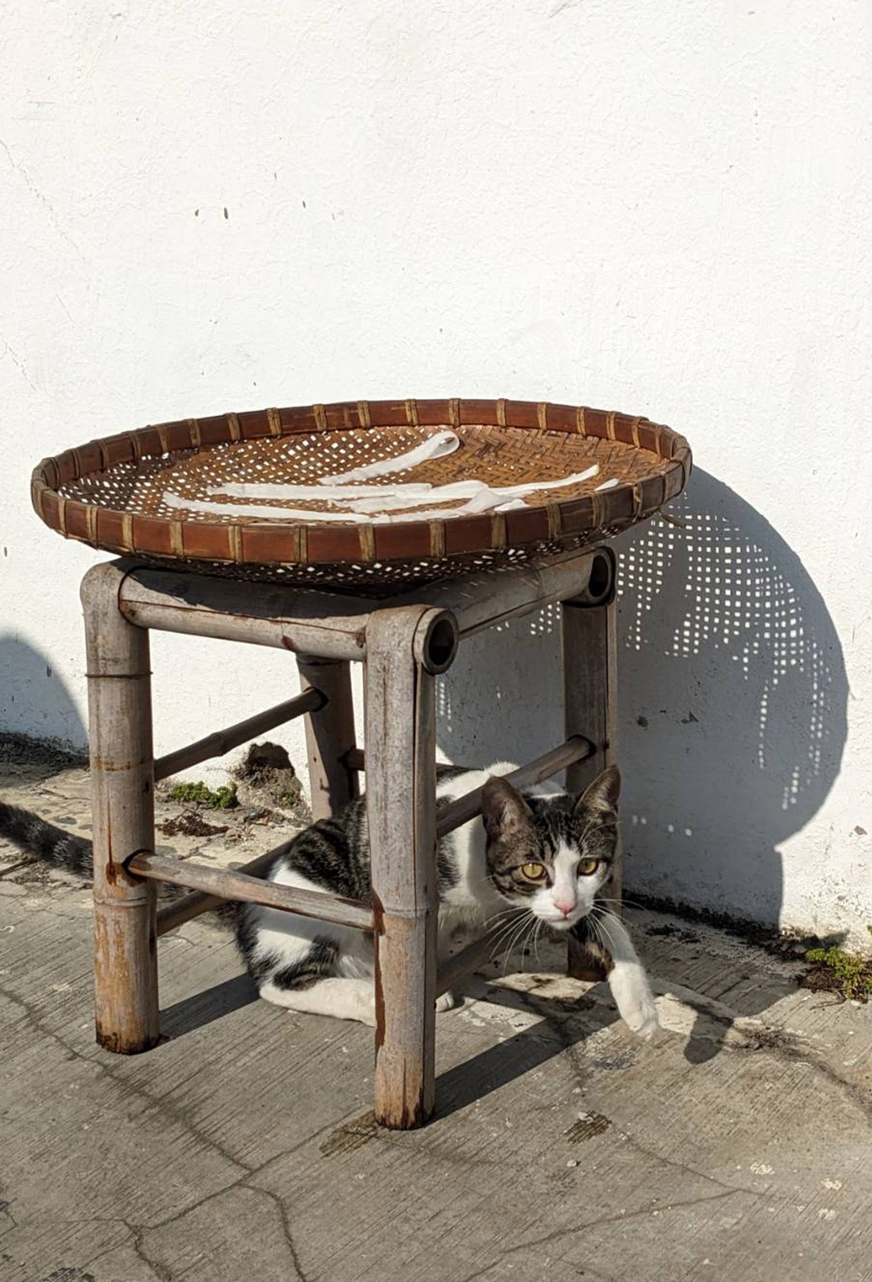 A cat rests under a bamboo chair casting unique shadows on a sunny day.