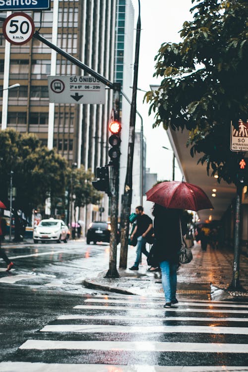 Mulher Segurando Guarda Chuva Cruzando A Faixa De Pedestres