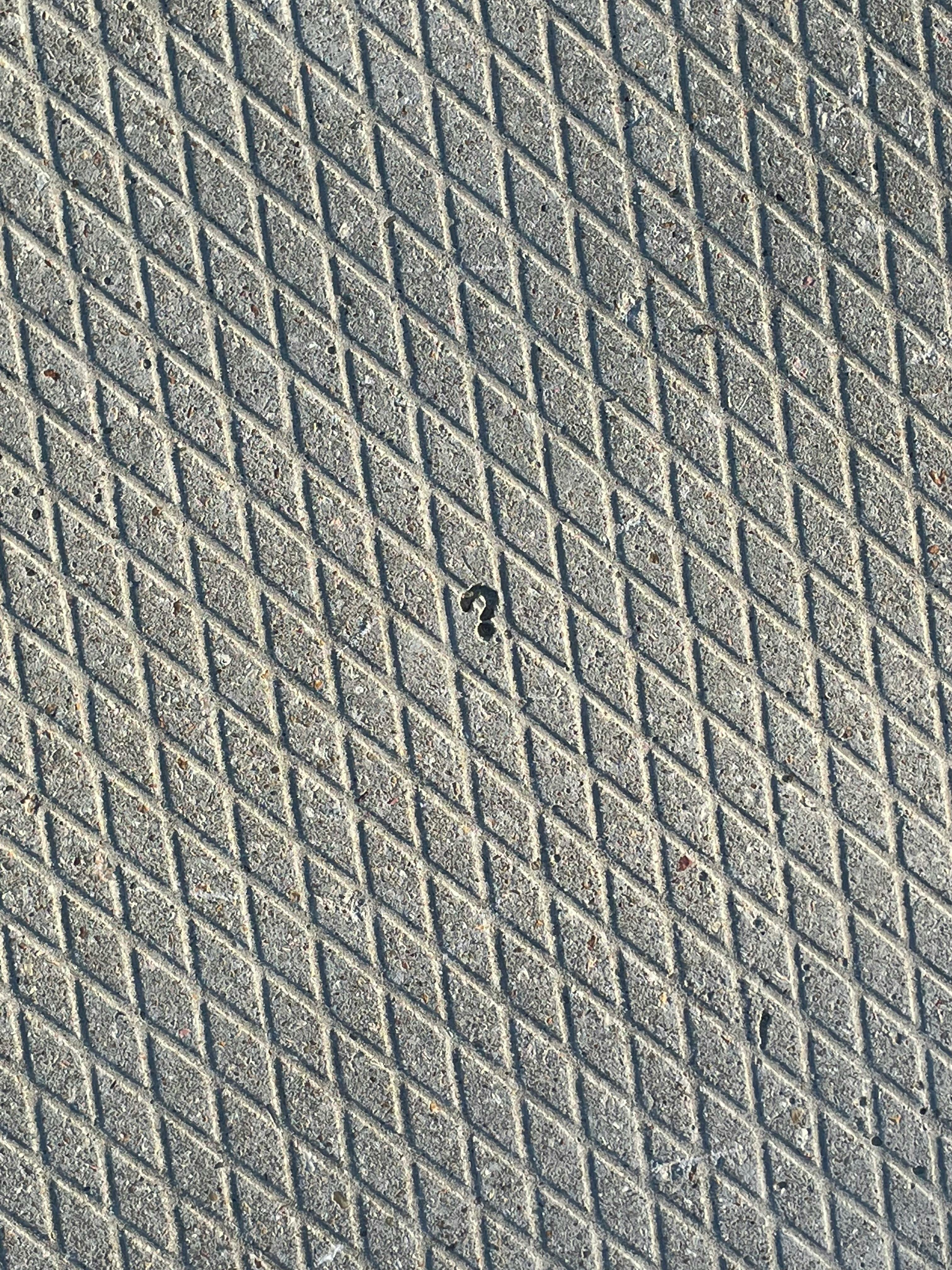 無料 ？ 写真素材